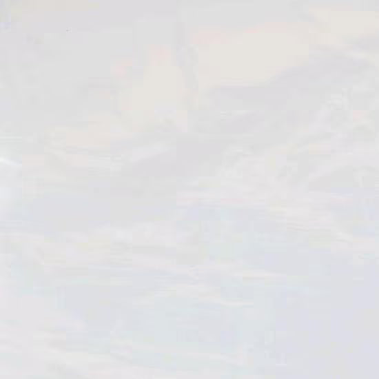 Travellife Abdeckfolie Transparent - 300 x 400 cm